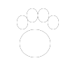 paw-white